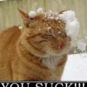 Meet your Posher, Bryan